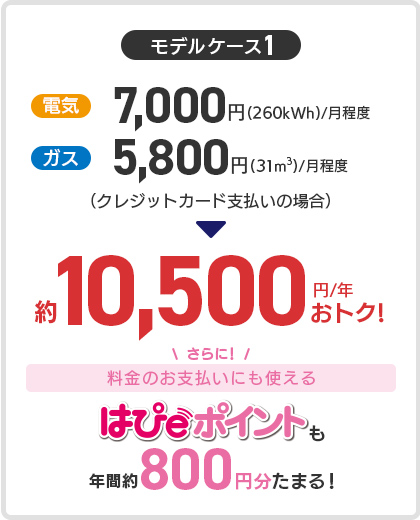 モデルケース1：電気7,000円(260kWh)/月程度、ガス：5,800円(31m³)/月程度（クレジットカード支払いの場合） 約10,500円/年 おトク！さらに料金のお支払いにも使えるはぴeポイントも年間約800円分たまる！