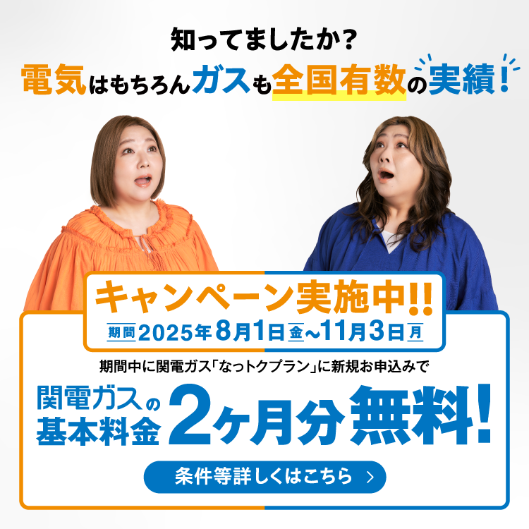 ぴみる はぴeみる電」トップ [関西電力]