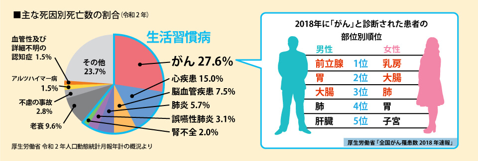 主な死因別死亡数の割合