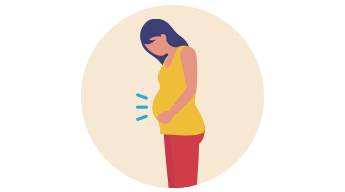 やせ菌／肥満菌