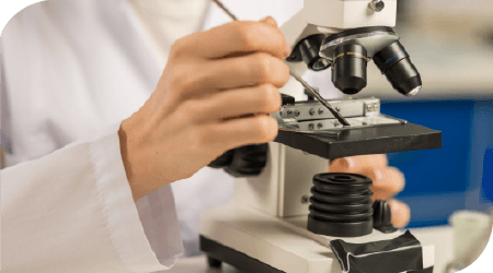 さまざまな再生医療への開発が進むiPS細胞