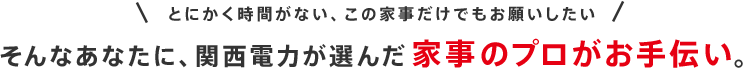 とにかく時間がない、この家事だけでもお願いしたいそんなあなたに、関西電力が選んだ家事のプロがお手伝い。