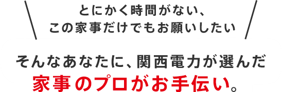 とにかく時間がない、この家事だけでもお願いしたいそんなあなたに、関西電力が選んだ家事のプロがお手伝い。
