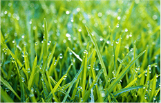 エアレーション