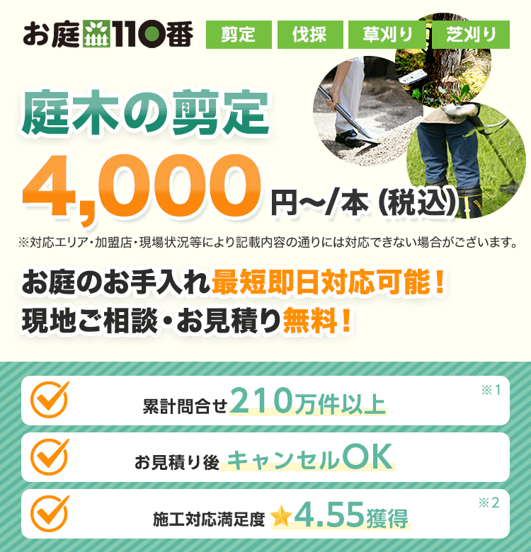 庭木の剪定4,000円～/本(税込) お庭のお手入れ最短即日対応可能！現地ご相談・お見積り無料！
