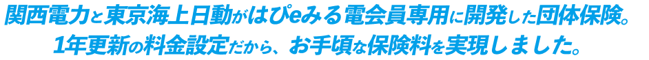 関西電力と東京海上日動がはぴｅみる電会員専用に関発した団体保険。1年更新の料金設定だから、お手頃な保険料を実現しました。