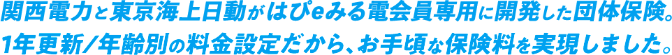 日本人にとってリスクの高い「がん」。 シンプルな補償で1年更新/年齢別の料金設定だから、お手頃な保険料を実現しました。