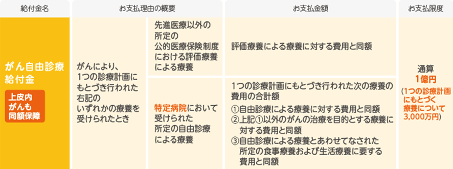 がん自由診療特約