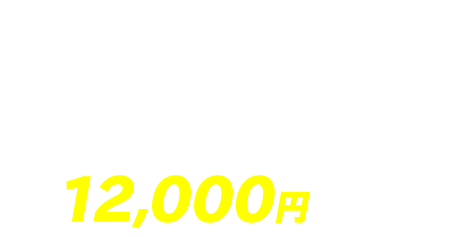 かんでん保険　自動車保険プラン