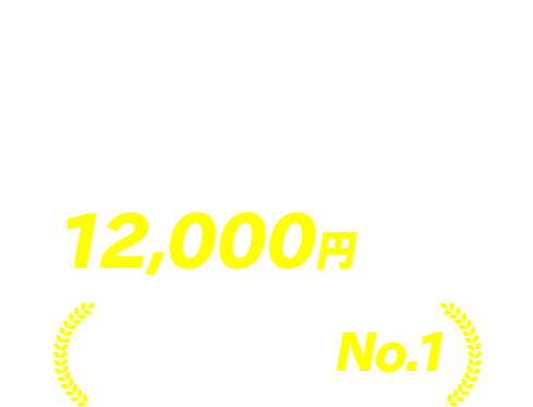 かんでん保険　自動車保険プラン