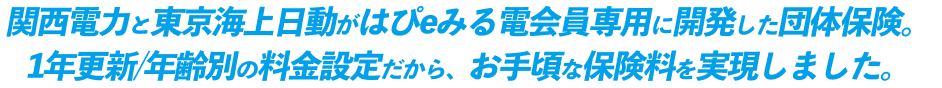 関西電力と東京海上日動がはぴｅみる電会員専用に関発した団体保険。1年更新/年齢別の料金設定だから、お手頃な保険料を実現しました。