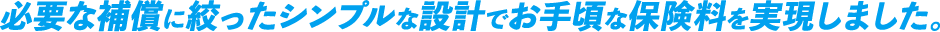 必要な補償に絞ったシンプルな設計でお手頃な保険料を実現しました。