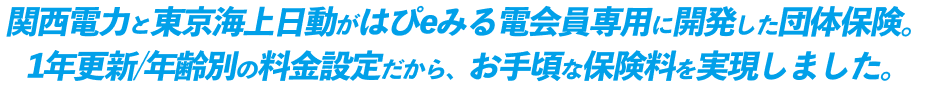 関西電力と東京海上日動がはぴｅみる電会員専用に関発した団体保険。1年更新/年齢別の料金設定だから、お手頃な保険料を実現しました。