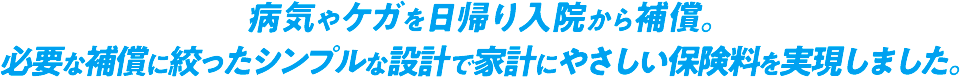 病気やケガを日帰り入院から補償し、高額な先進医療もカバー。必要な補償に絞ったシンプルな設計で家計にやさしい保険料を実現し