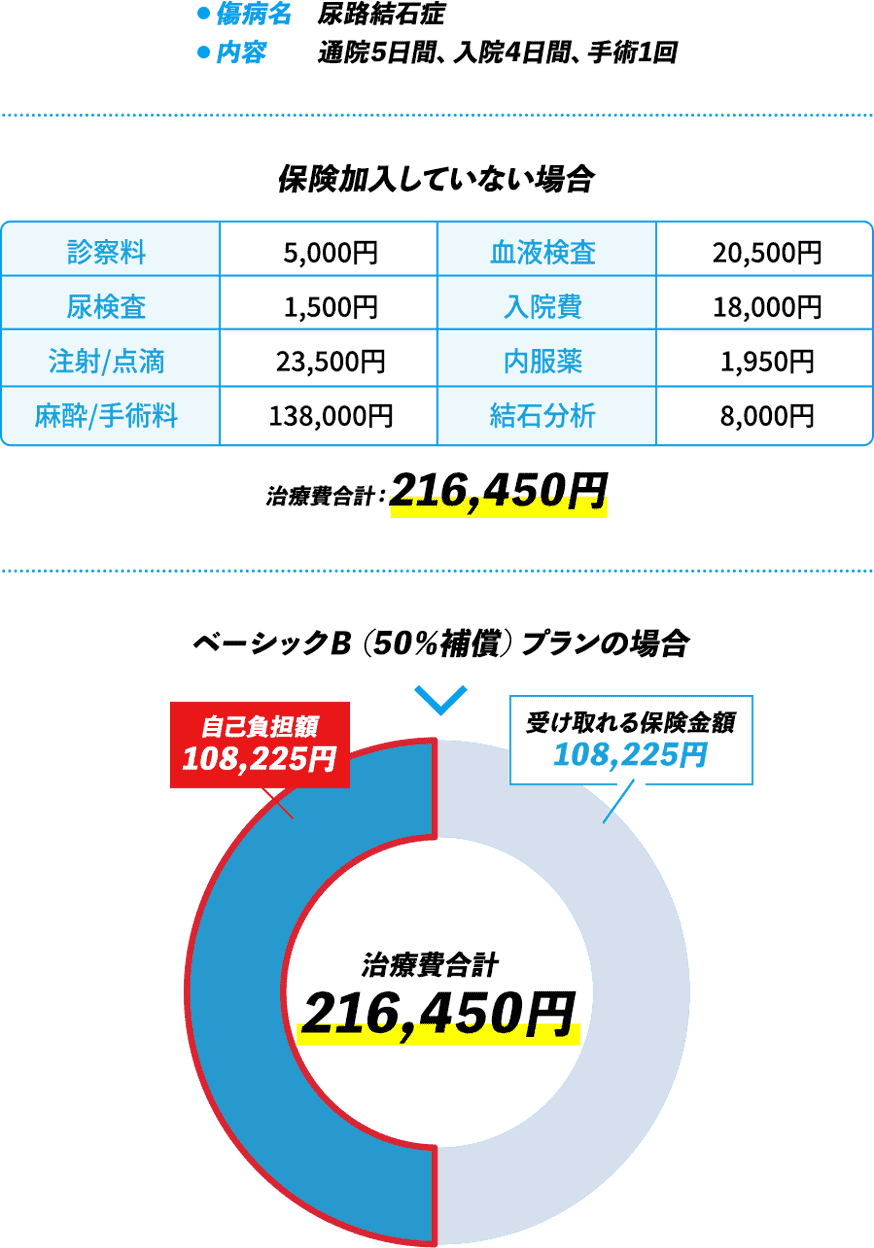CASE03 猫（アメリカン・ショートヘア）・3歳の保険金お支払い例