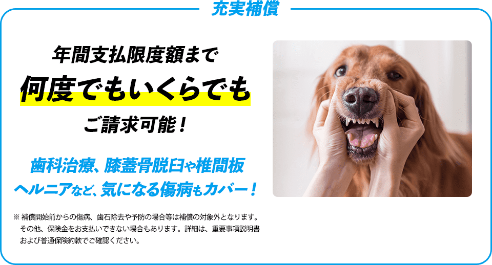 充実補償 年間支払限度額まで何度でもいくらでもご請求可能！ 歯科治療、膝蓋骨脱臼や椎間板ヘルニアなど、気になる傷病もカバー！