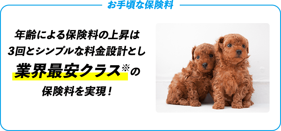 お手頃な保険料 年齢による保険料の上昇は3回とシンプルな料金設計とし業界最安クラスの保険料を実現！