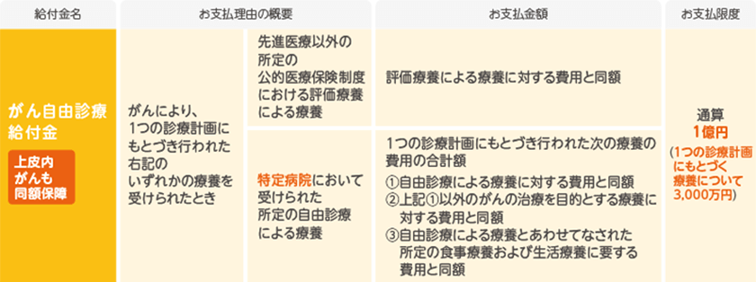 がん自由診療特約