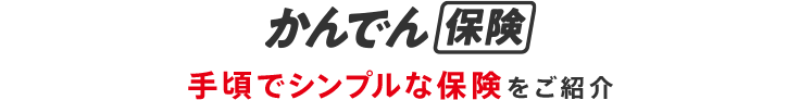 かんでん保険 手頃でシンプルな保険をご紹介