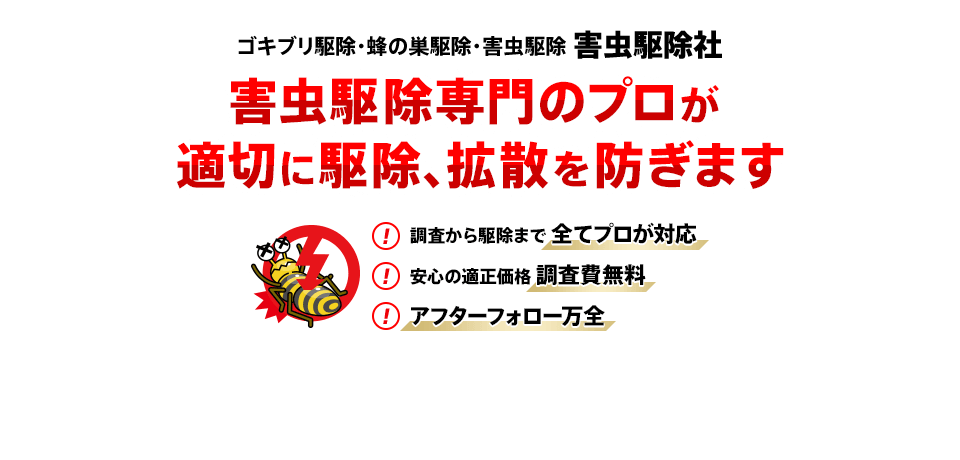 ゴキブリ駆除・蜂の巣駆除・害虫駆除害虫駆除社 害虫駆除専門のプロが適切に駆除・拡散を防ぎます 調査から駆除まで 全てプロが対応 安心の適正価格 調査費無料 アフターフォロー万全