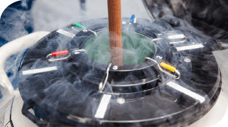 大量培養したiPS細胞を日米2つの拠点で保管