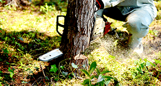 お庭110番 3つの強み