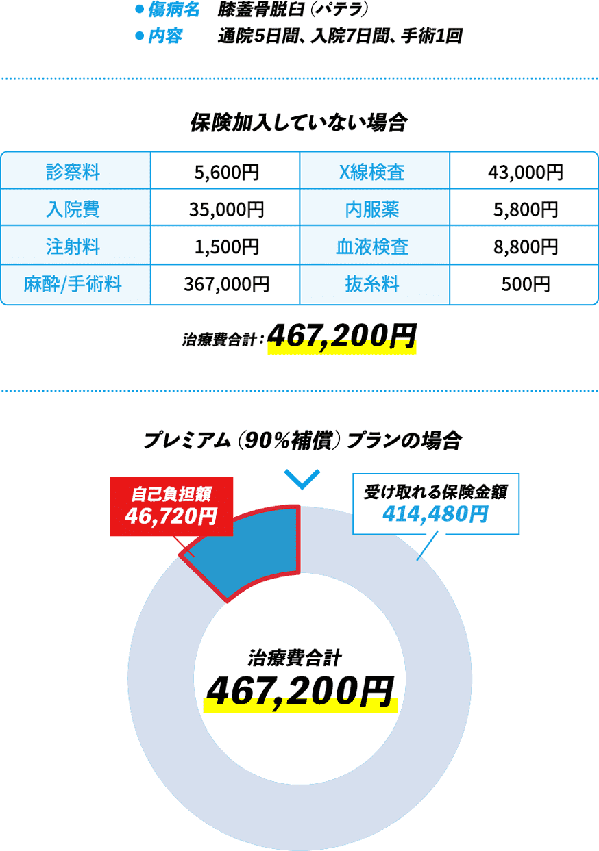 CASE01 小型犬（トイ・プードル）・5歳の保険金お支払い例