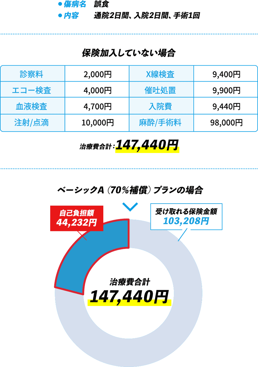 CASE02 大型犬（ゴールデン・レトリーバー）・1歳の保険金お支払い例