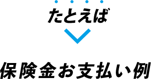 たとえば 保険金お支払い例