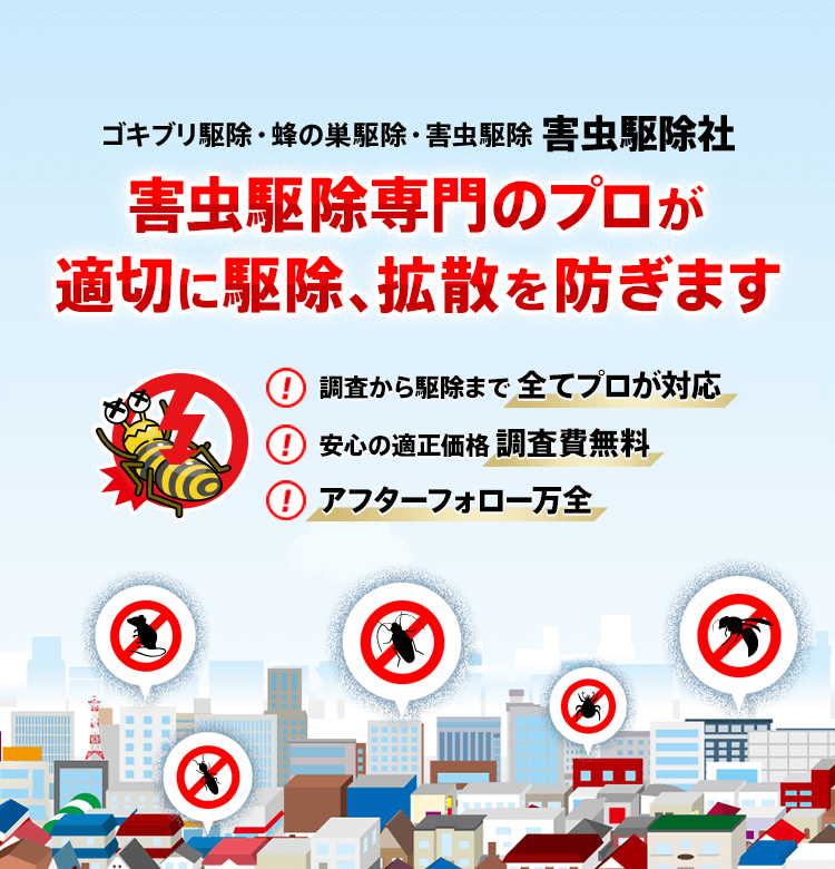 ゴキブリ駆除・蜂の巣駆除・害虫駆除害虫駆除社 害虫駆除専門のプロが適切に駆除・拡散を防ぎます 調査から駆除まで 全てプロが対応 安心の適正価格 調査費無料 アフターフォロー万全