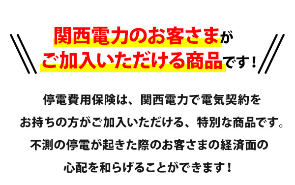 『関西電力のお客さまがご加入いただける商品です！』