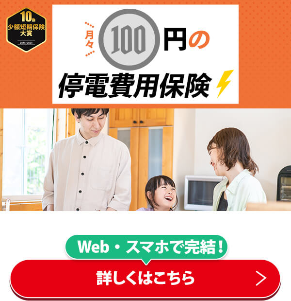 月々100円の停電費用保険 Web・スマホで完結！詳しくはこちら