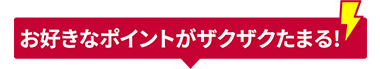 お好きなポイントがざくざくたまる！