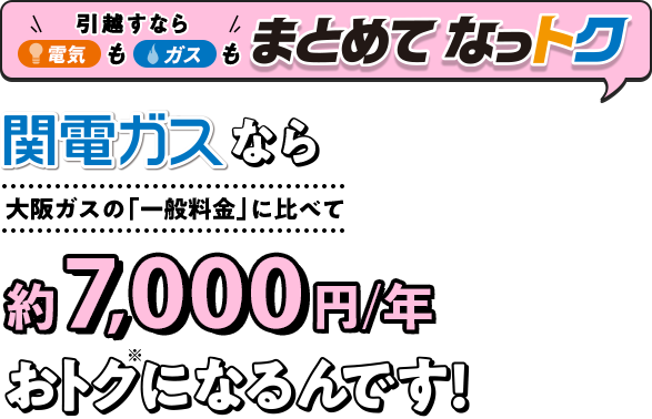 ストア 関西 電力 なっ とく パック 解約