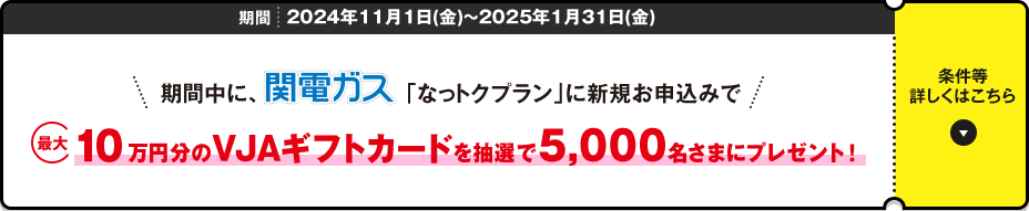 [期間：2024年11月1日(金)～2025年1月31日(金)][期間中に、関電ガス「なっトクプラン」に新規お申込みで最大10万円分のVJAギフトカードを抽選で5,000名さまにプレゼント！]条件等詳しくはこちら