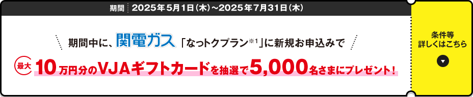 期間 2025年5月1日（木）～2025年7月31日（木）期間中に、関電ガス「なっトクプラン※2」に新規お申込みで最大10万円分のVJAギフトカードを抽選で5,000名さまにプレゼント！ 条件など詳しくはこちら