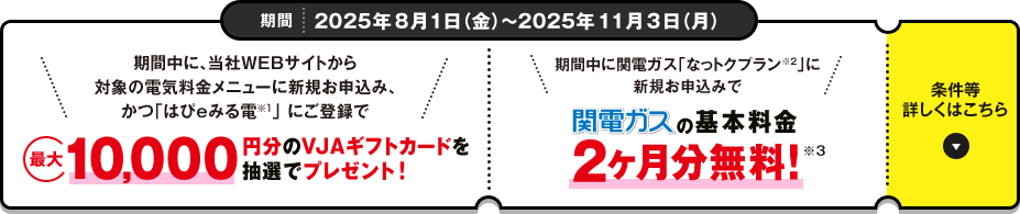 期間 2025年5月1日（木）～2025年7月31日（木）期間中に、関電ガス「なっトクプラン※2」に新規お申込みで最大10万円分のVJAギフトカードを抽選で5,000名さまにプレゼント！ 条件など詳しくはこちら