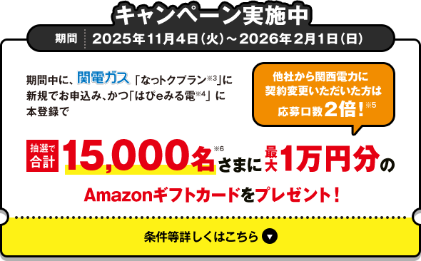 電気もガスもまとめてなっトク！関電ガスなら大阪ガス「一般料金」に