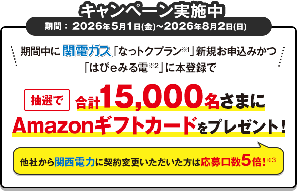 電気もガスもまとめてなっトク！関電ガスなら大阪ガス「一般料金」に