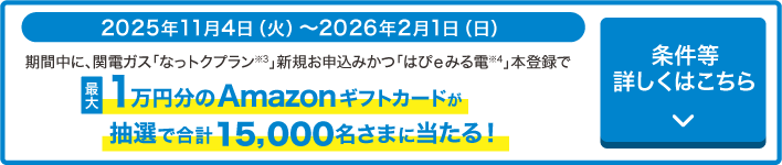 期間中に「なっトクプラン※1」新規お申込みかつ「はぴｅみる電※2」に本登録で最大1万円分の「Amazonギフトカード」 が抽選で合計15,000名さまに当たる！期間：2025年11月4日（火）～2026年2月1日（日）条件等詳しくはこちら