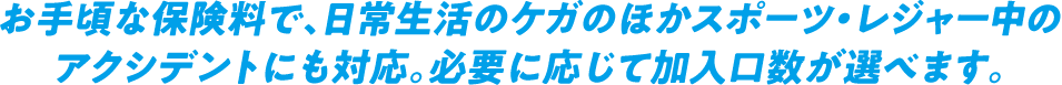 お手頃な保険料で、日常生活のケガのほかスポーツ・レジャー中のアクシデントにも対応。必要に応じて加入口数が選べます。