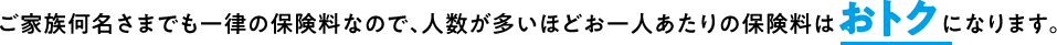 ご家族何名さまでも一律の保険料なので、人数が多いほどお一人あたりの保険料はおトクになります。