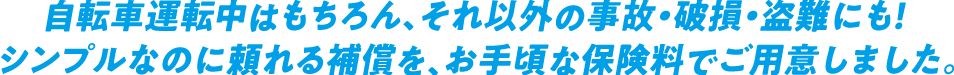 自転車運転中はもちろん、それ以外の事故・破損・盗難にも！シンプルなのに頼れる補償を、お手頃な保険料でご用意しました。