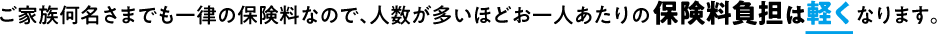 ご家族何名さまでも一律の保険料なので、人数が多いほどお一人あたりの保険料はおトクになります。