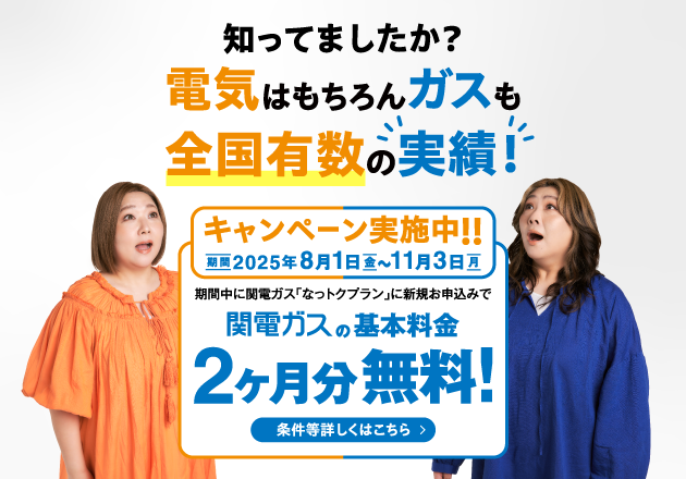 「２０２５年夏季電気・ガスキャンペーン」実施中！