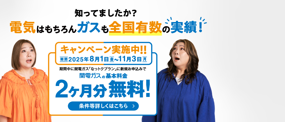 知ってましたか？電気はもちろんガスも全国有数の実績！