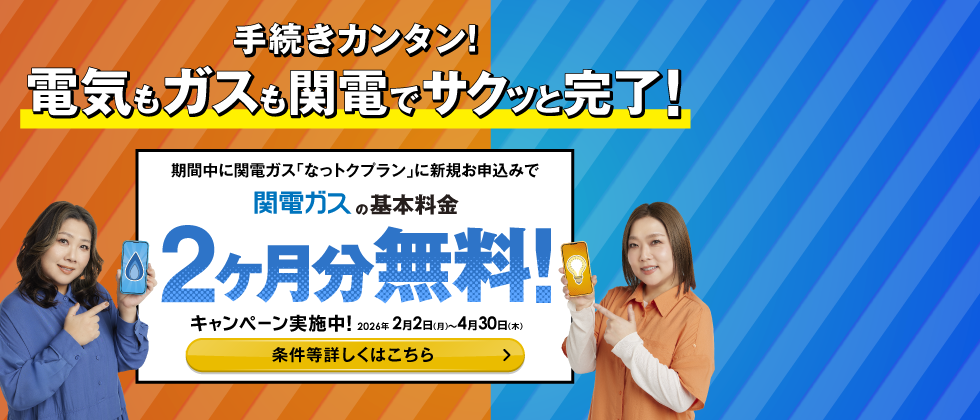 手続きカンタン！電気もガスも関電でサクッと完了！