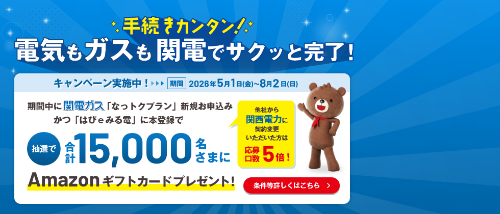 手続きカンタン！電気もガスも関電でサクッと完了！