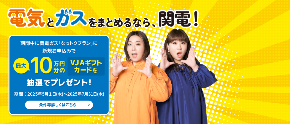 電気とガスをまとめるなら、関電！