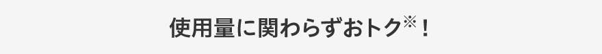 使用量に関わらずおトク※！